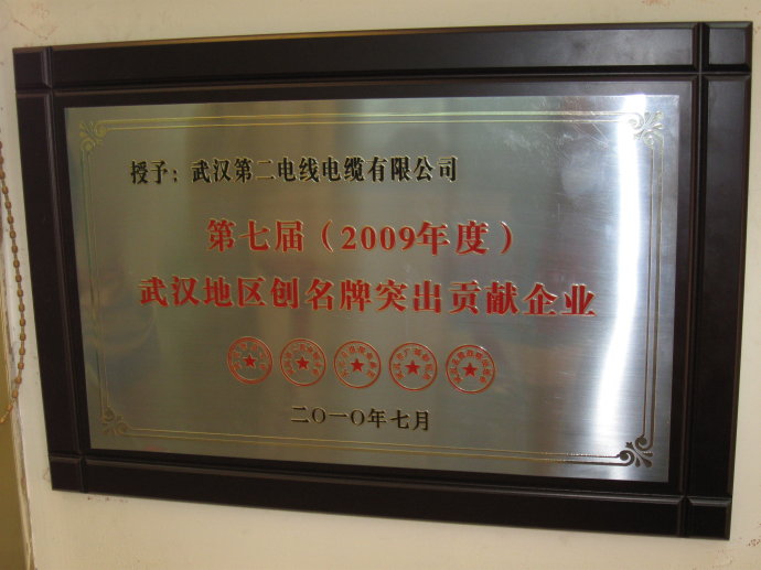 武汉电线电缆二厂